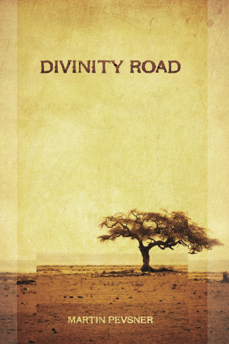 descargar libro Divinity Road