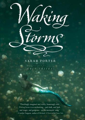 descargar libro Waking Storms