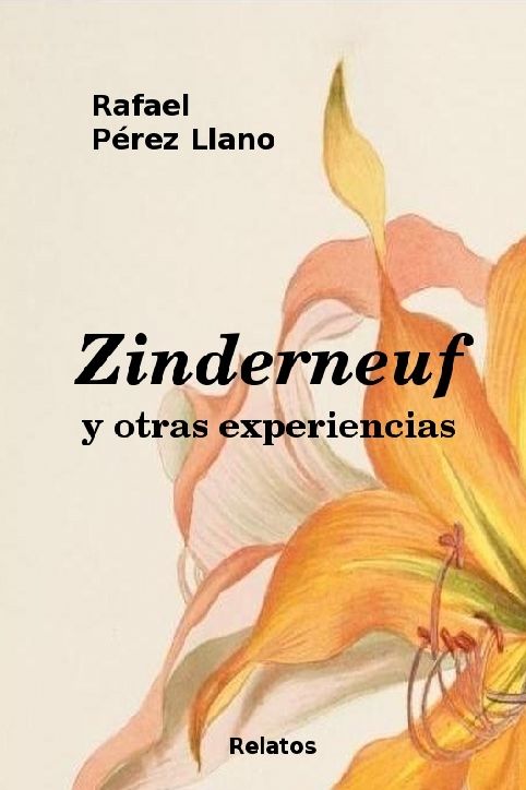 descargar libro Zinderneuf y otras experiencias