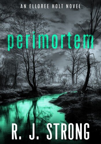 descargar libro Perimortem