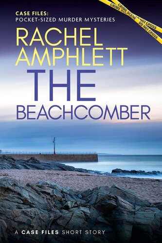 descargar libro The Beachcomber