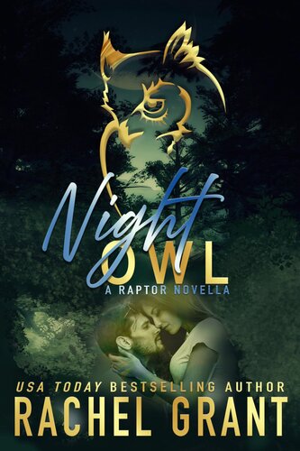 descargar libro Night Owl: A Steamy Prequel to Incriminating Evidence