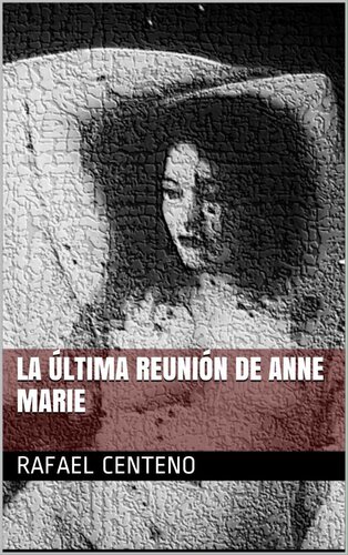 descargar libro La última reunión de Anne Marie