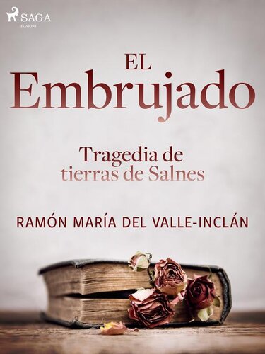 descargar libro El embrujado. Tragedia de tierras de Salnes