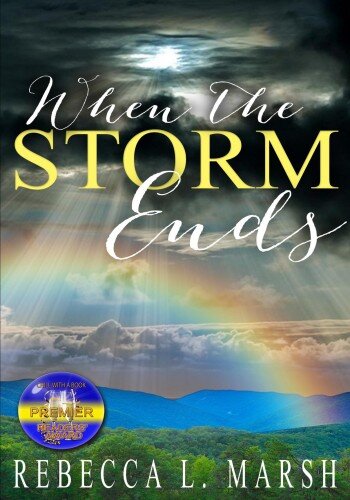 descargar libro When the Storm Ends