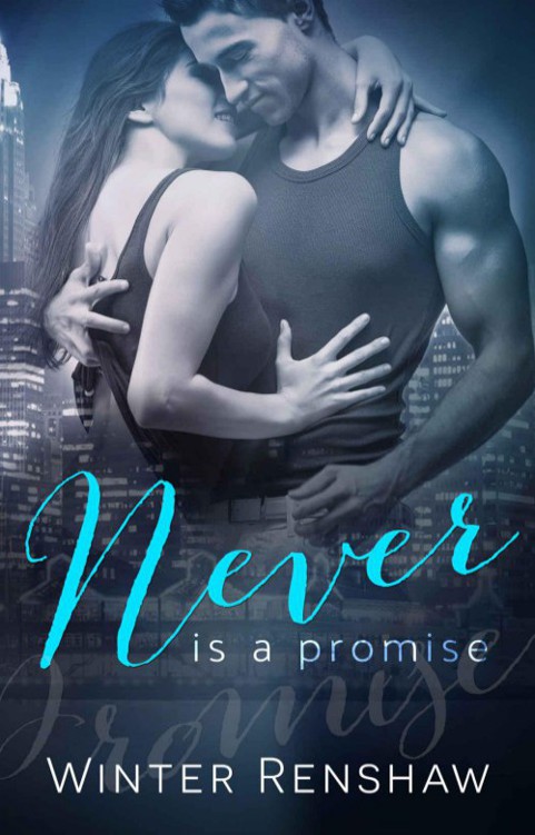 descargar libro Never is a Promise