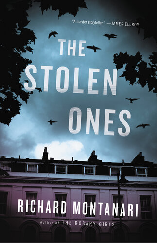 descargar libro The Stolen Ones