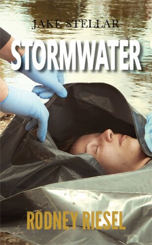 descargar libro Stormwater