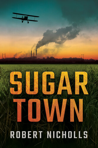 descargar libro Sugar Town