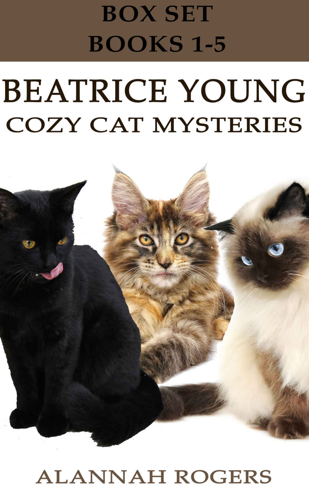 descargar libro Beatrice Young Cozy Cat Mysteries (Box Set, Books 1-5)