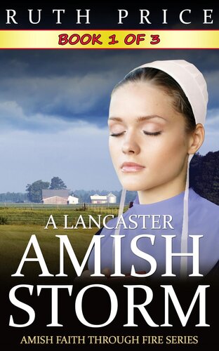 descargar libro A Lancaster Amish Storm--Book 1