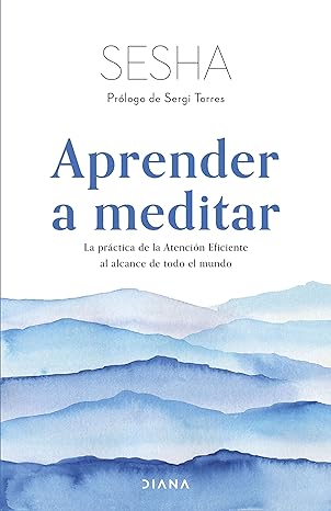 descargar libro Aprender a meditar