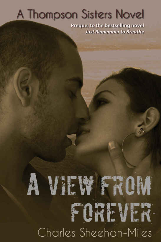 descargar libro A View From Forever