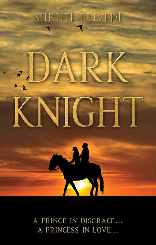 descargar libro Dark Knight