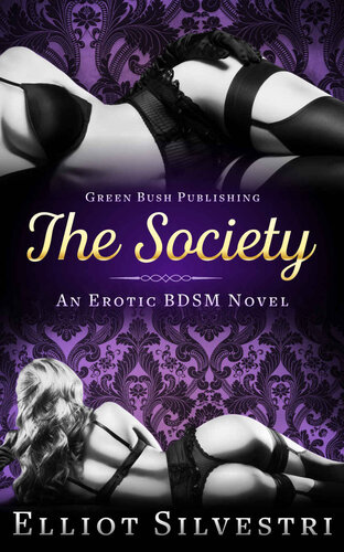 descargar libro The Society