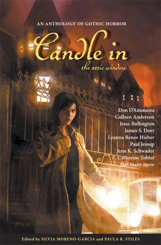 descargar libro Candle in the Attic Window