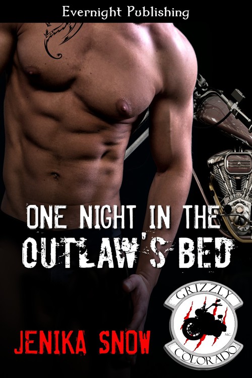 descargar libro One Night in the Outlaw's Bed