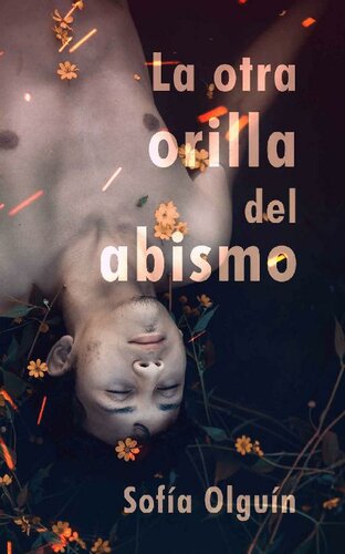 descargar libro La otra orilla del abismo