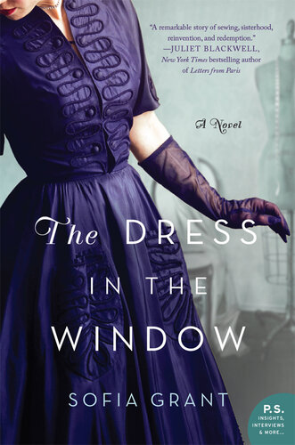 descargar libro The Dress in the Window