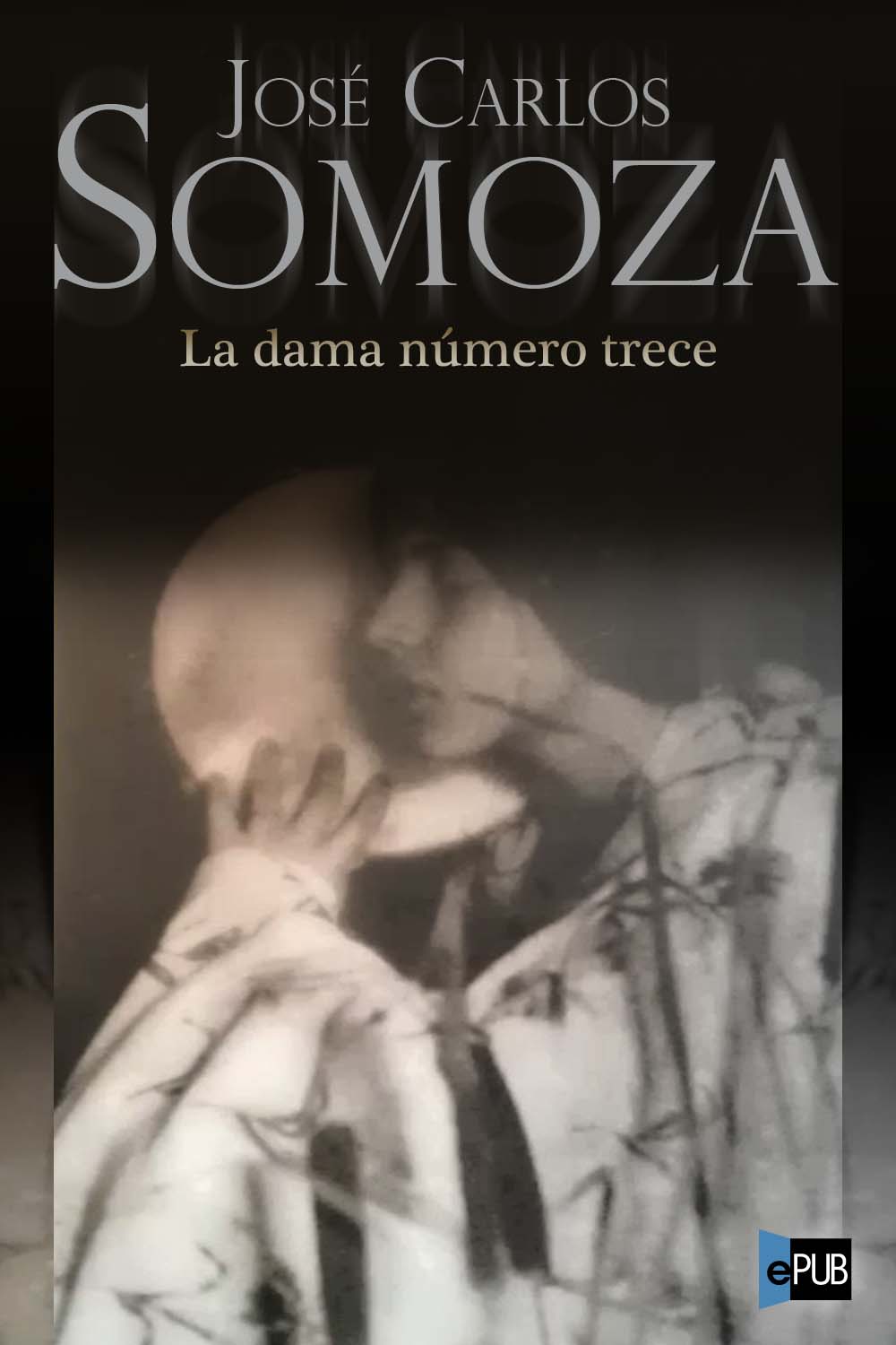 libro gratis La dama número trece