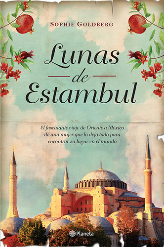 libro gratis Lunas de Estambul