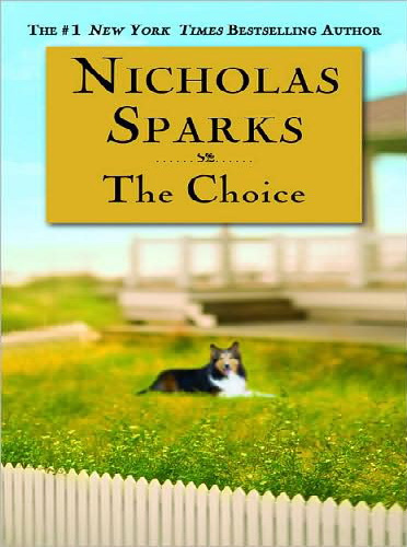 descargar libro The Choice