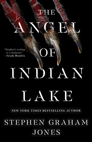 descargar libro The Angel of Indian Lake