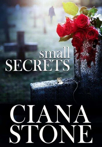 descargar libro Small Secrets