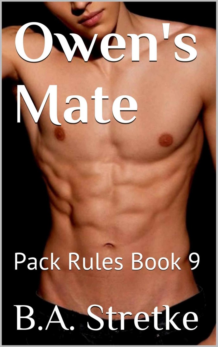 descargar libro Owen's Mate Pack Rules 9