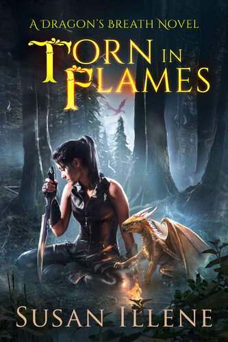 descargar libro Torn in Flames