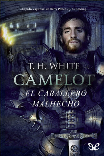 descargar libro El caballero malhecho