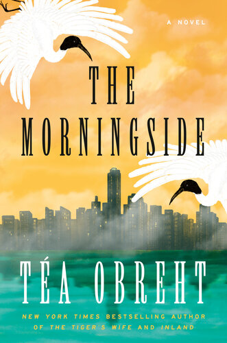 descargar libro The Morningside : A Novel