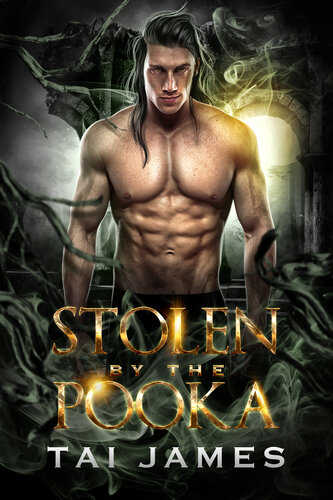 descargar libro Stolen by the Pooka