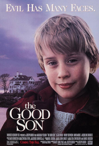 descargar libro The Good Son: A Novel