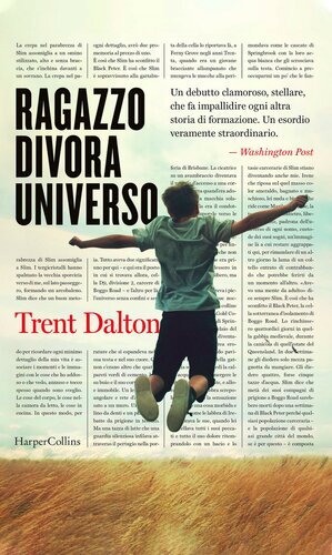 descargar libro Ragazzo divora universo