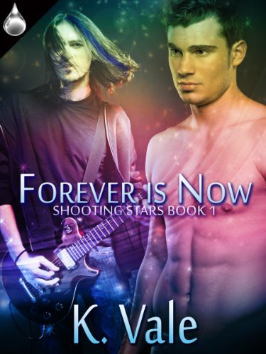 descargar libro Forever Is Now