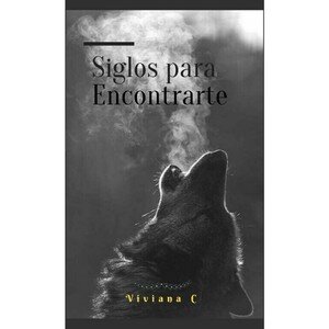 descargar libro Siglos para encontrarte