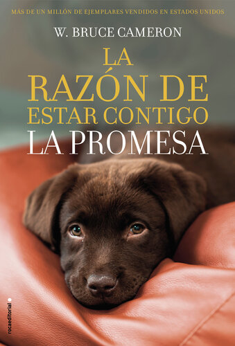 libro gratis La razón de estar contigo. La promesa