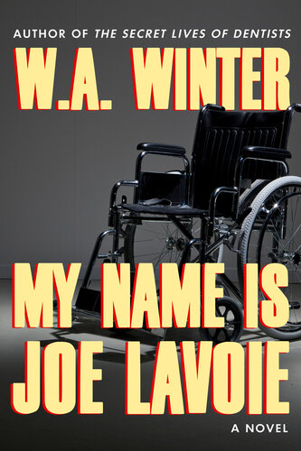 descargar libro My Name is Joe Lavoie