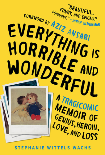 descargar libro Everything Is Horrible and Wonderful