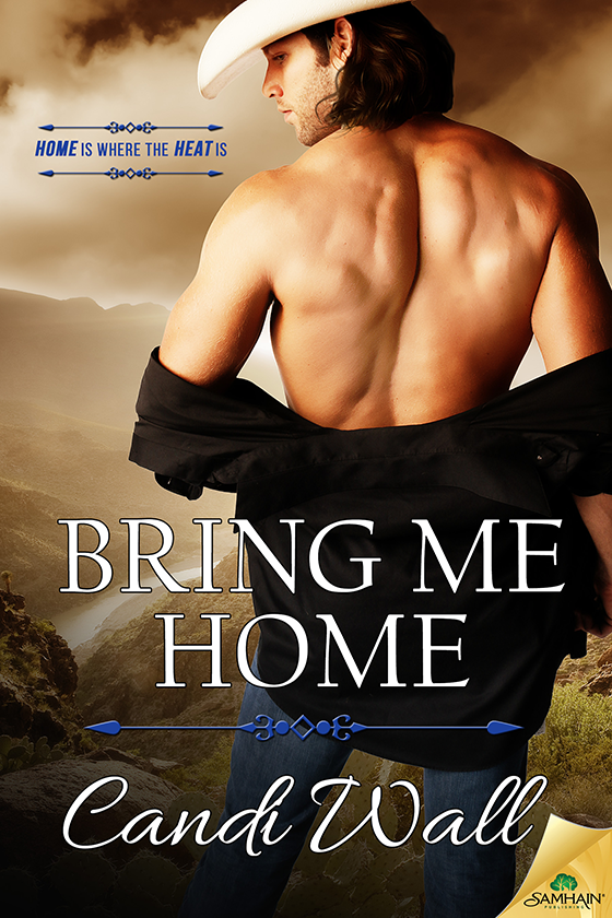 descargar libro Bring Me Home