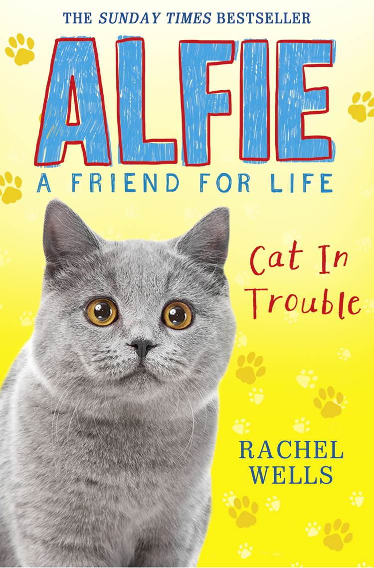 descargar libro Alfie Cat In Trouble