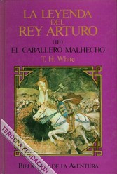 descargar libro El caballero malhecho