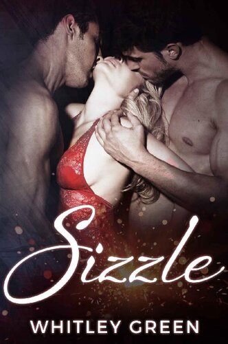 descargar libro Sizzle