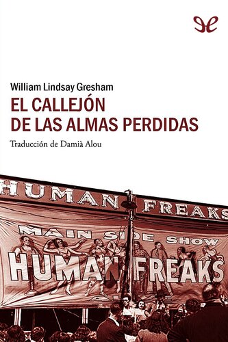 descargar libro El callejó de las almas perdidas