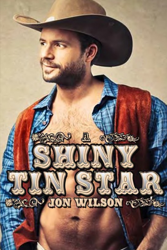 descargar libro A Shiny Tin Star