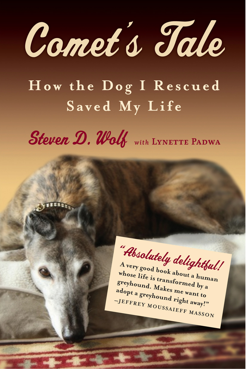 libro gratis Comet's Tale: How the Dog I Rescued Saved My Life