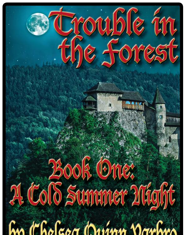 descargar libro A Cold Summer Night