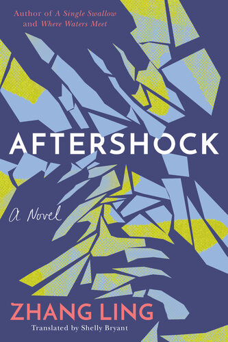 descargar libro Aftershock: A Novel