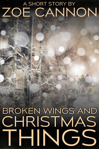 descargar libro Broken Wings and Christmas Things